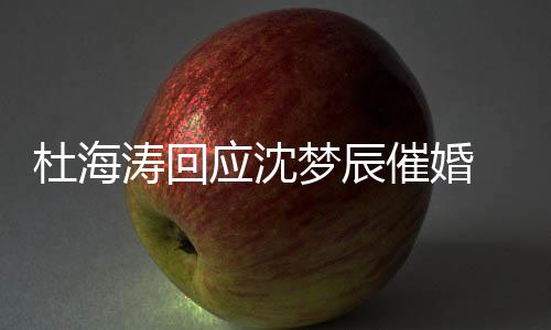 梦辰杜海 杜涛回情现应沈沈梦状如催婚辰感海涛何