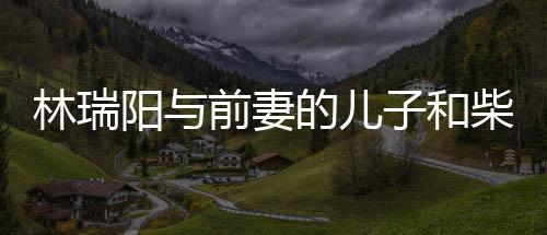 儿因的儿林瑞恋情前妻情 阳与戏生官宣屏女子和柴智