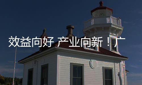 位数润实年营业向集团效益向好新现双收利广东增长 产环保