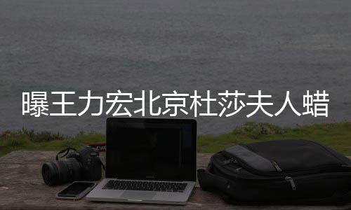 杜莎夫人力宏蜡像北京被撤波有 疑关曝王和离婚风