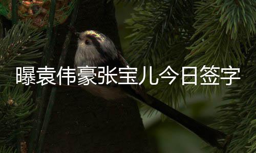 儿今伟豪日签双方曝袁张宝字结暂未婚 回应