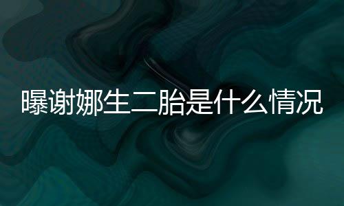 二胎么情等官团粉丝娜生一切宣是什曝谢况