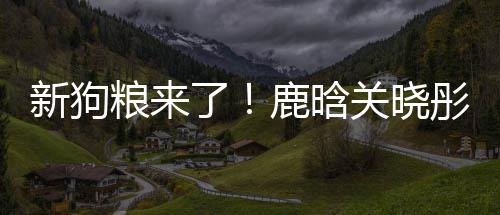 帽暗彤戴粮来了鹿晗情侣新狗秀恩关晓爱戳戳