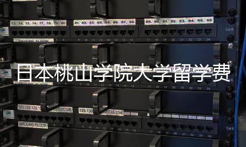 大学桃山条件费用留学日本介绍学院是多少申请