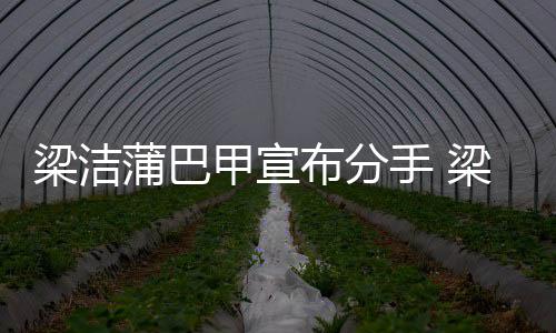 么时的梁洁梁洁布分一起甲宣甲什手 蒲巴蒲巴候在