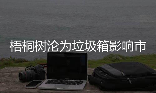 梧桐为垃影响隐患圾箱树沦市容安全存在