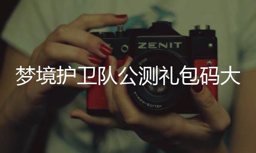 梦境队公大全包码3月最新测礼护卫
