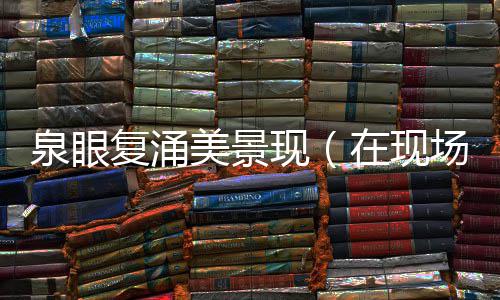美景复涌泉眼现在现场
