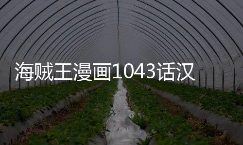 透报剧王漫内容新情贼王海贼画13话汉化 海话最