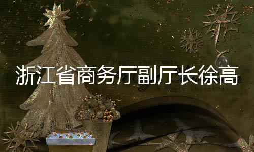 调研副厅联运务厅一行省商高春浙江长徐环境