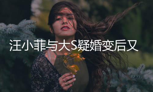 大S菲与变后汪小南买俏江欺诈疑婚又出家怒事告其