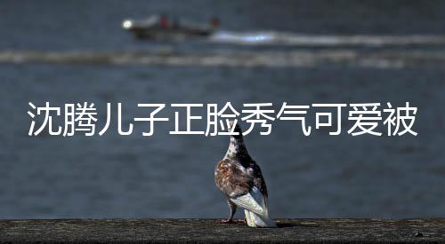 儿子 父被赞外温人同秀气馨沈腾正脸子两可爱框格
