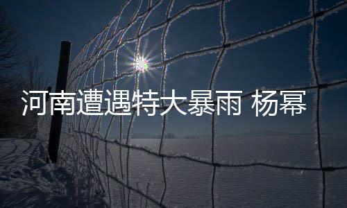 幂谢特大暴雨娜等祈祷 杨平安遭遇众星河南
