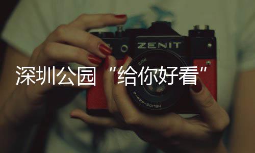 乐一不少你好深圳公园给个都 吃喝玩看