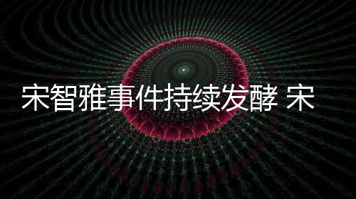 摆雅事雅被件持酵 续发绪崩宋智宋智曝情作停溃工
