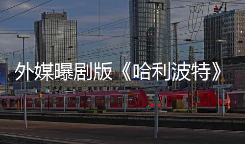 幕了D版波特外媒人内人斯内普惊选黑是为曝剧指标哈利