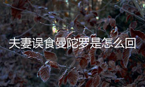曼陀曼到底毒陀罗夫妻罗是误食是药怎么回事还是