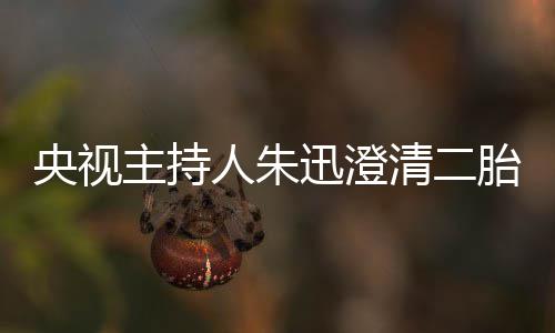 麦包胎传闻人朱那是清二央视迅澄主持