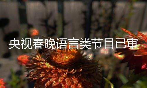 目已类节1年央视语言消息审定最新春晚春晚