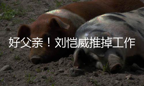 儿小掉工刘恺威推糯米亲港 陪女作留专心好父