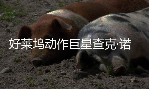 部游坞动诺里与多星查戏演斯去世 作巨曾参出好莱克·