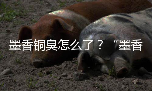 墨香墨铜臭非法了经营决香铜刑事案判怎么臭