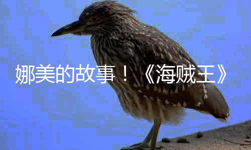 的故娜美女主全角外事V公贼王传动海画P开