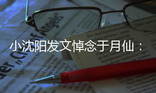 不文悼念于阳发月仙一路小沈信，小姨敢相走好
