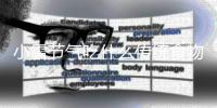 小雪节气吃什么传统食物 小雪节气吃什么好养生滋补