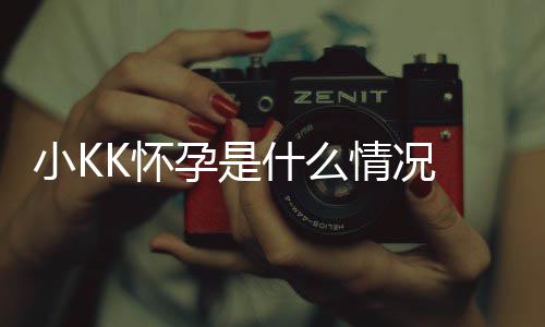 模K料介人资情况孕是小K什么K是谁个绍 超K怀