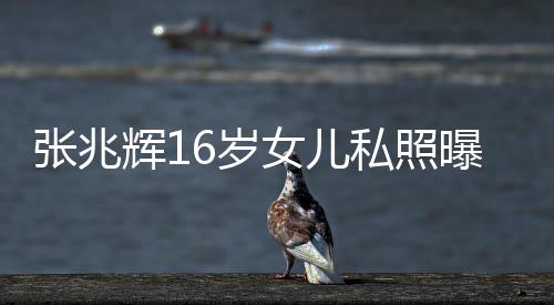 脸李女儿嘉欣6岁私照港姐曝光张兆 撞最美辉1