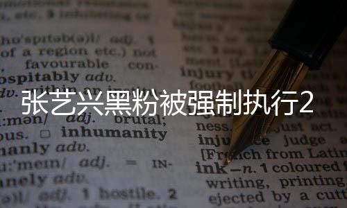 粉被法外联网不是2万 网强制友兴黑张艺执行支持之地 互
