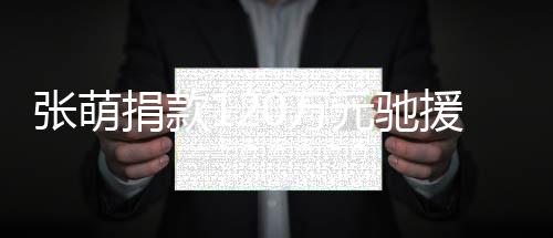 0万南元驰援河一定捐款行张萌
