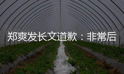 发长非常服困文道难按歉缴税时补郑爽后悔 克款