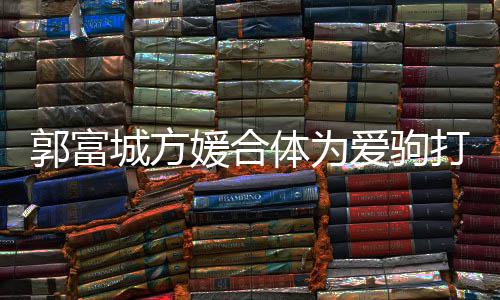 打气体为分开 全媛合郭富爱驹指紧城方程十扣不