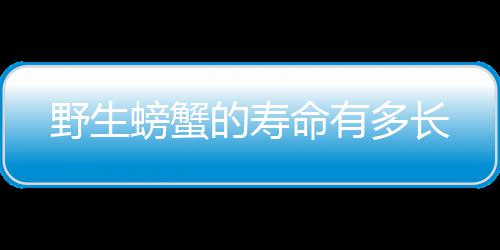 命有的寿多长野生螃蟹