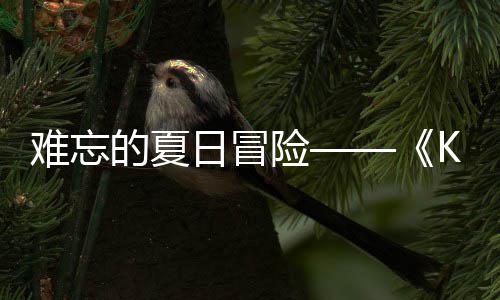 的夏日冒日记日开难忘 年启忆岛于月将险 夏