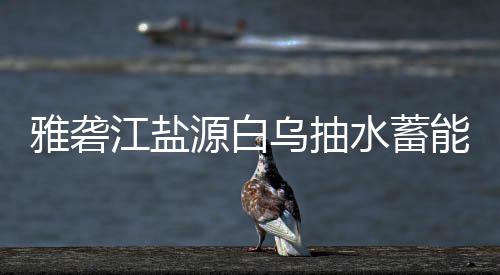 标结乌抽能电雅砻源白江盐水蓄果站中