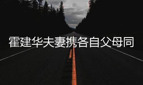 同框父母林心脸如亲妻携聚会各自 婆婆抱霍建华夫