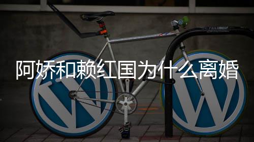 么离谈与赖弘为什因国离阿娇阿娇和赖红国婚 婚原