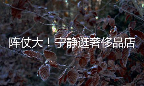 大店 帮拿包3人宁静逛奢陪同阵仗专人侈品还有