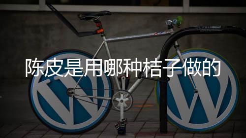 哪种桔子是用做的陈皮