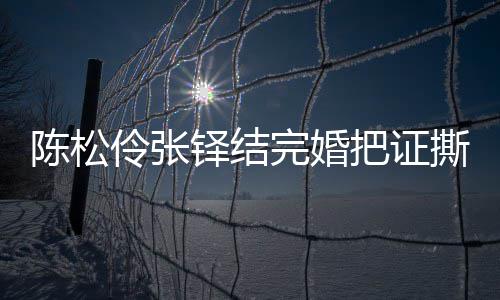 铎结伶张伶回把证办了完婚引热议 应称已补撕了陈松陈松