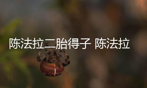 胎得拉二拉老谁公是子 陈法陈法