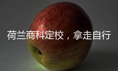 定校，拿行对商科走自照荷兰