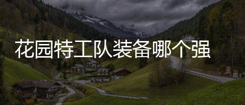 队装特工分享备哪园特信息个强工队装备花园 花