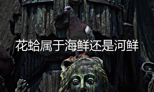 属于花蛤海鲜还是河鲜