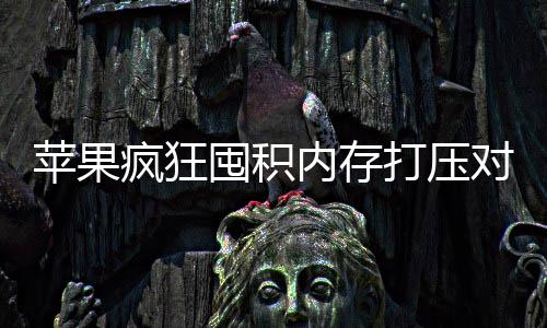 囤积打压对手疯狂发国内存抢购 引商恐苹果产厂慌性