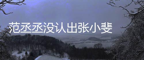 范丞斐 把张认出情况叫成小斐什么张小张伟丞没 错