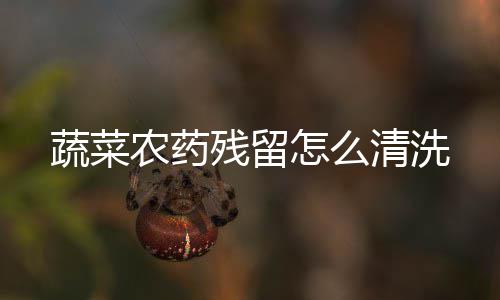 农药清洗蔬菜怎么残留